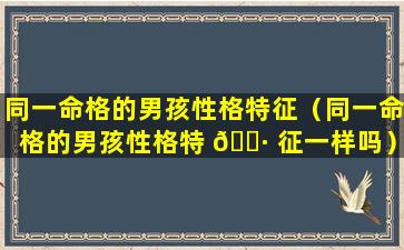 同一命格的男孩性格特征（同一命格的男孩性格特 🌷 征一样吗）